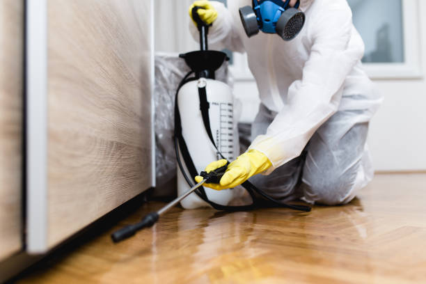 Professional Pest Control in Fleming Island, FL