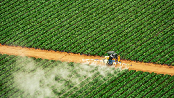 Best Pest Control for Businesses  in Eming Island, FL