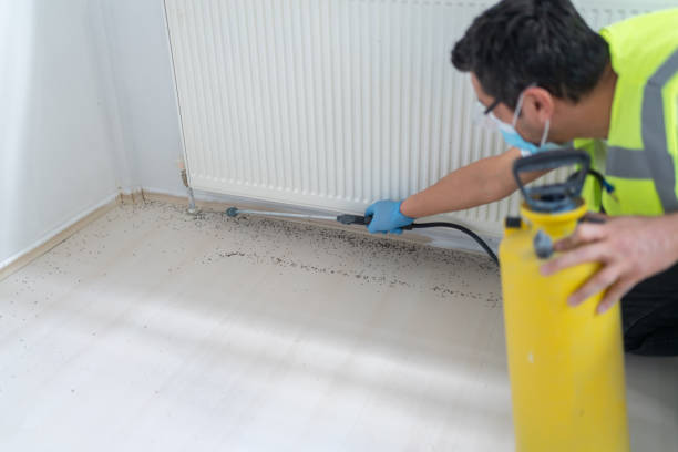  Eming Island, FL Pest Control Pros